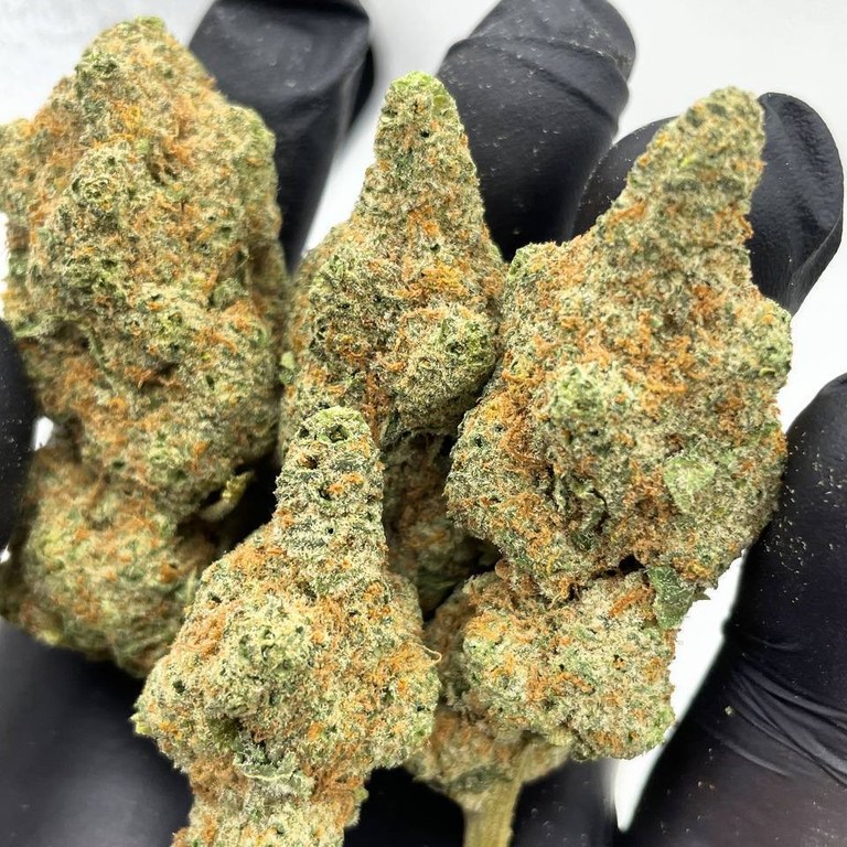 Candy Jack