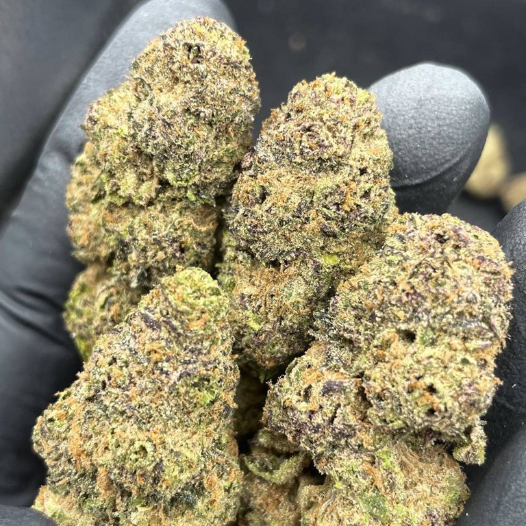 Rainbow Zkittlez