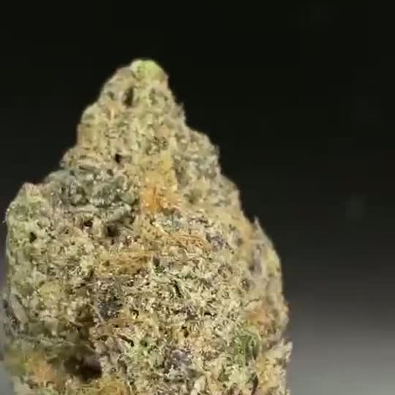 Slurricane