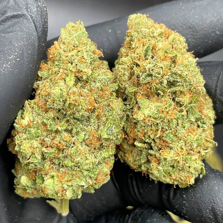 WaterMelon Zkittelz